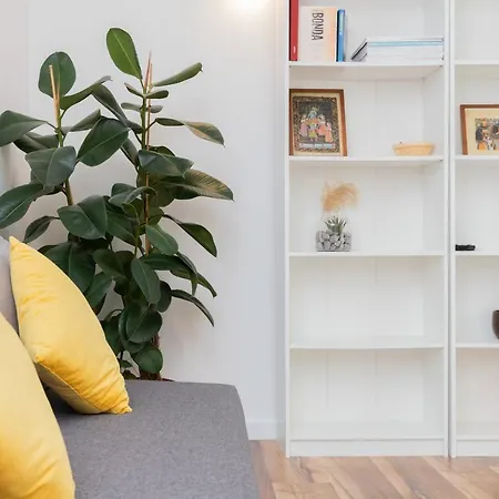 Kamienny Potok Sopot By Renters